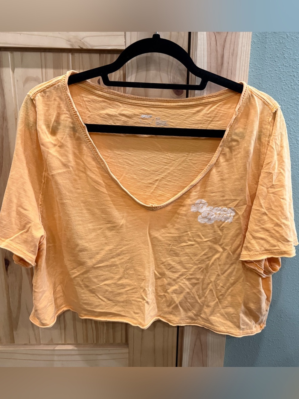 Aerie Women's Peach Short-Sleeve V-Neck Crop Top